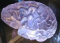 The Power Of The Mind In Sexual Pleasure
