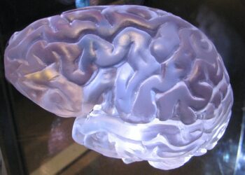The Power Of The Mind In Sexual Pleasure