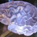 The Power Of The Mind In Sexual Pleasure