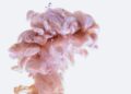 Introduction To The Neural Correlates Of Sexual Arousal And Orgasm