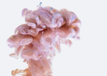Introduction To The Neural Correlates Of Sexual Arousal And Orgasm