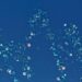 What Is Unified Field Theory?